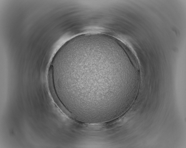 X0000112101488200908181314