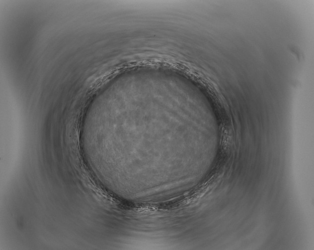 X0000112101489200908181313