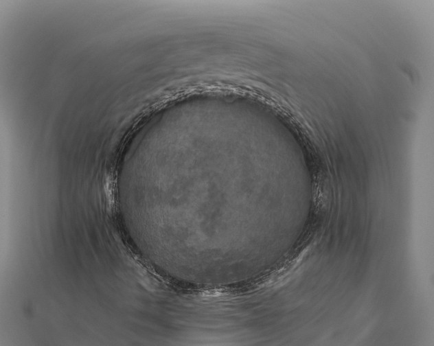 X0000112101490200908181313