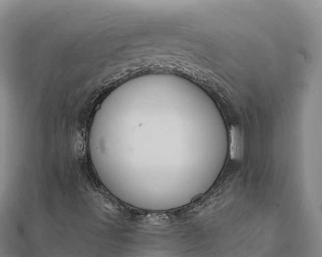 X0000112101491200908181313