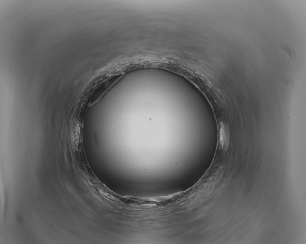 X0000112101492200908181313