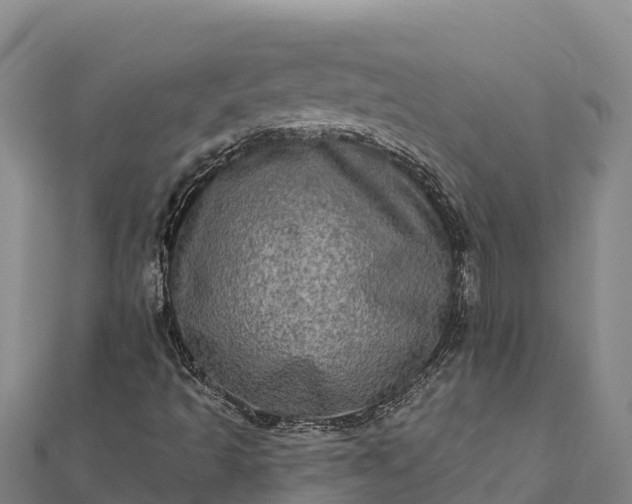 X0000112101493200908181313