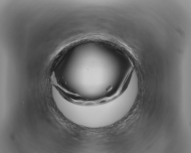 X0000112101496200908181314