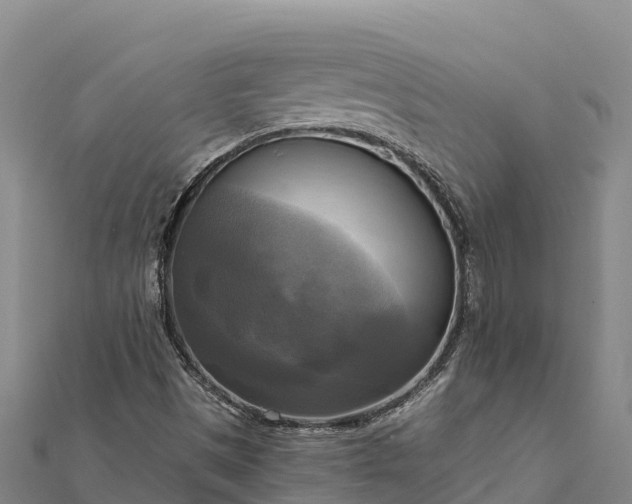 X0000112101497200908181314