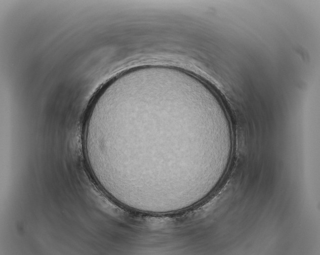 X0000112101498200908181314