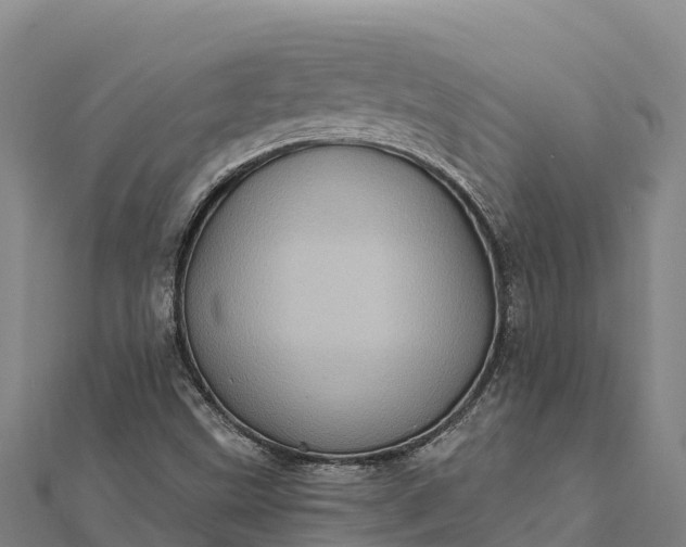 X0000112101499200908181314