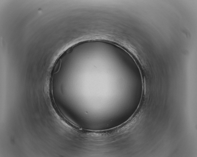 X0000112101500200908181314