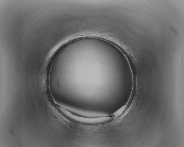 X0000112101502200908181314