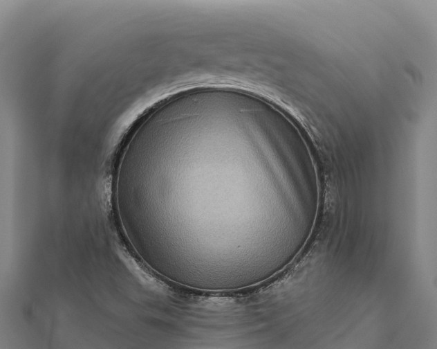 X0000112101503200908181314