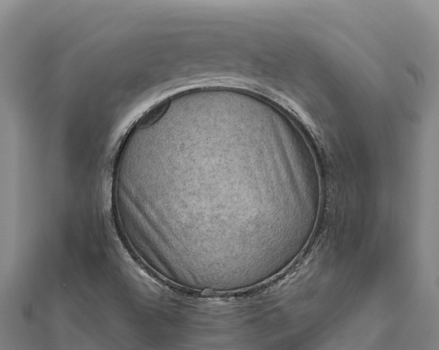 X0000112101504200908181314