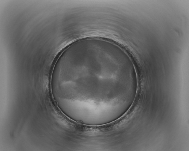 X0000112101505200908181314
