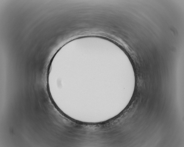 X0000112101512200908181314