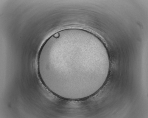 X0000112101514200908181314