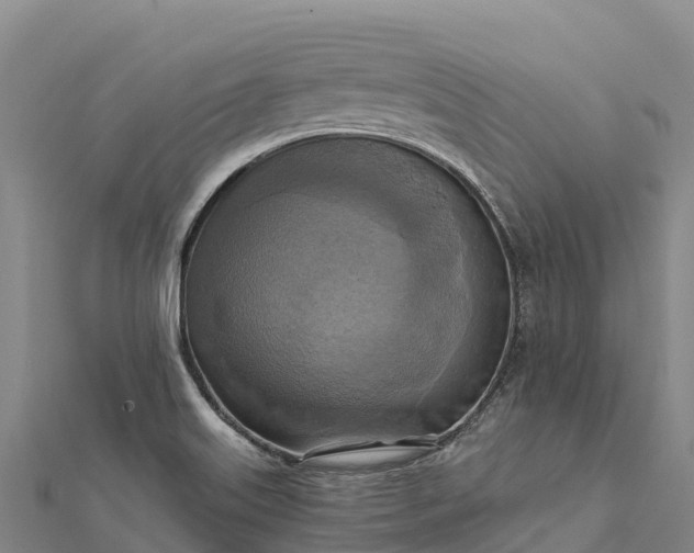 X0000112101515200908181314