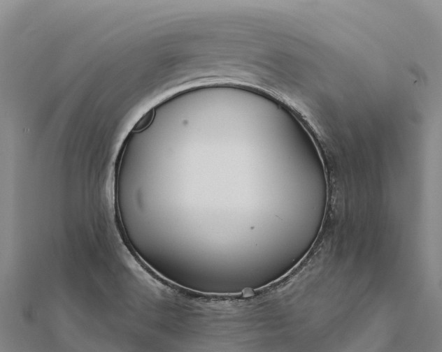 X0000112101516200908181314