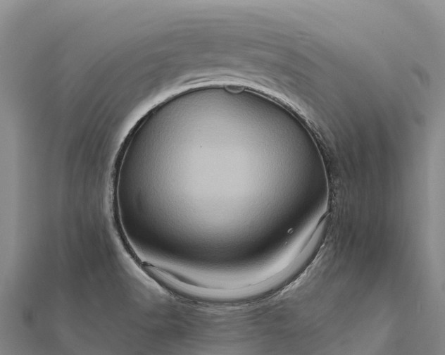 X0000112101518200908181314