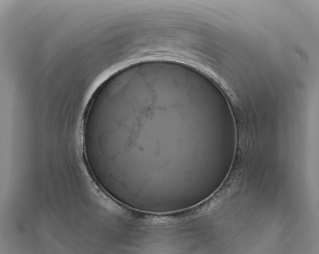 X0000112101522200908181314