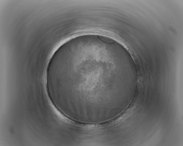 X0000112101523200908181314