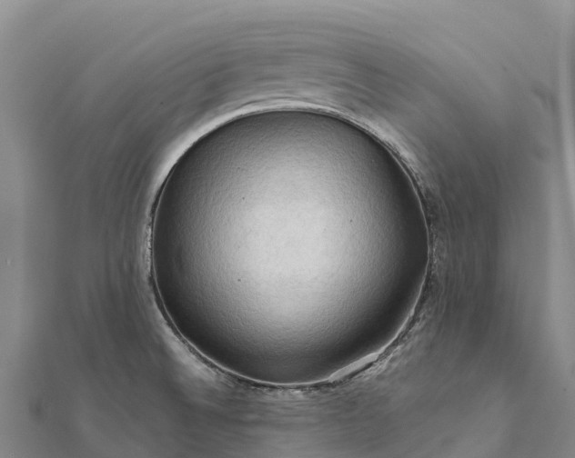 X0000112101524200908181314
