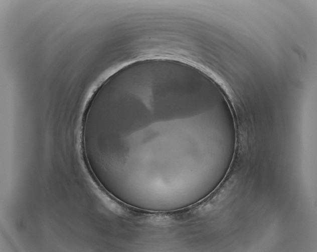 X0000112101525200908181314
