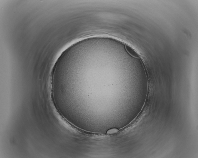X0000112101526200908181314