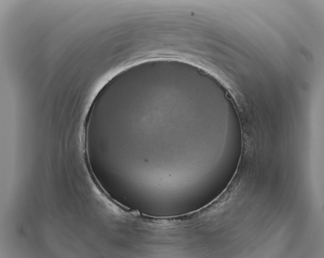 X0000112101527200908181314