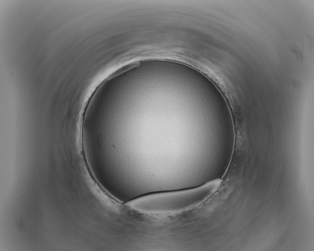 X0000112101528200908181314