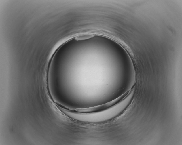 X0000112101530200908181314