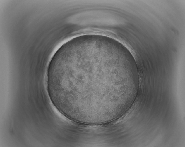 X0000112101531200908181314