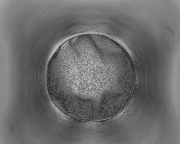 X0000112101532200908181314