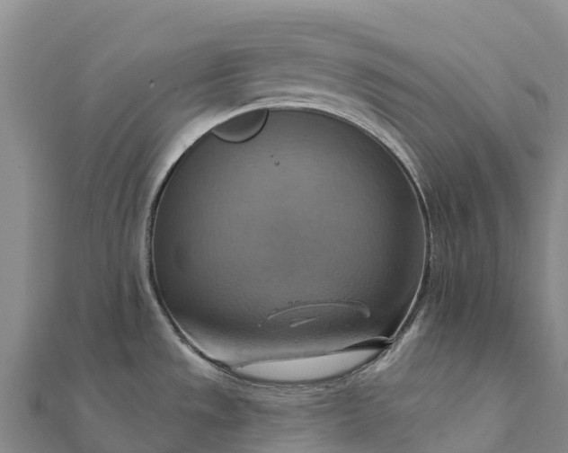 X0000112101533200908181314