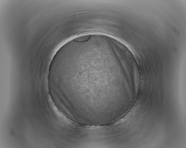 X0000112101534200908181314