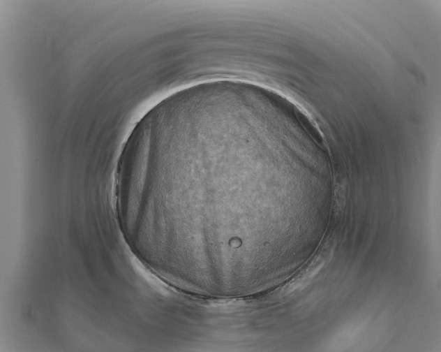 X0000112101535200908181314