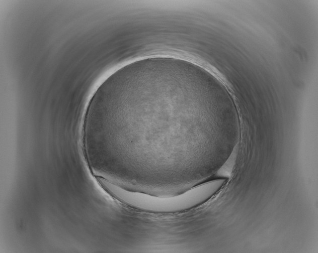 X0000112101536200908181314