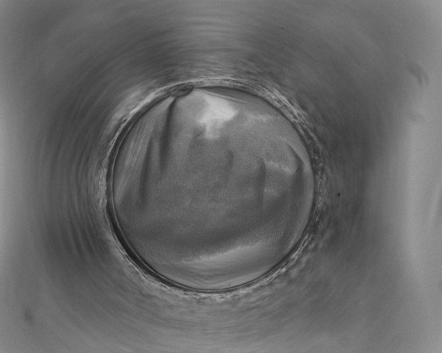 X0000112100002200908251200