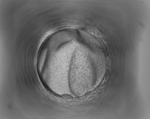 X0000112100003200908251200