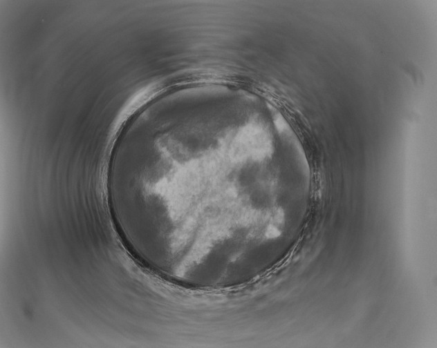 X0000112100004200908251200