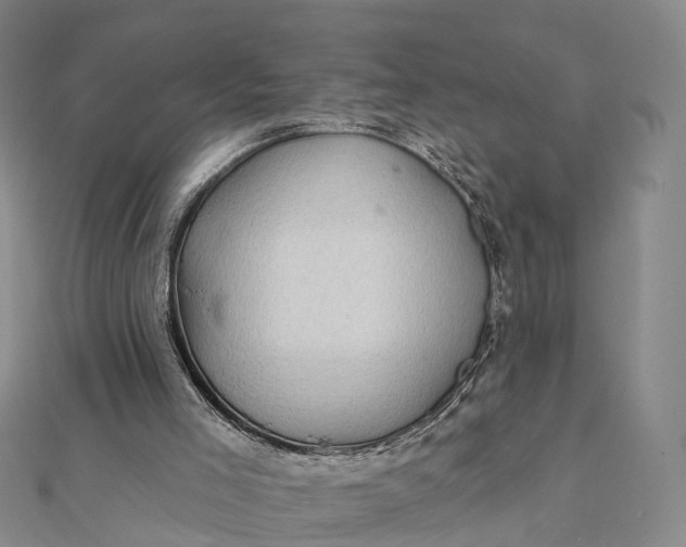 X0000112100005200908251159