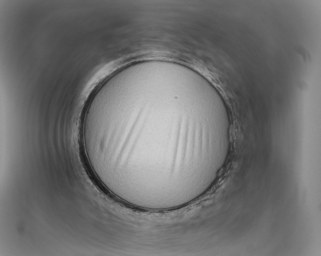 X0000112100007200908251159