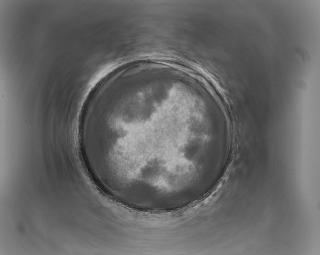 X0000112100008200908251159