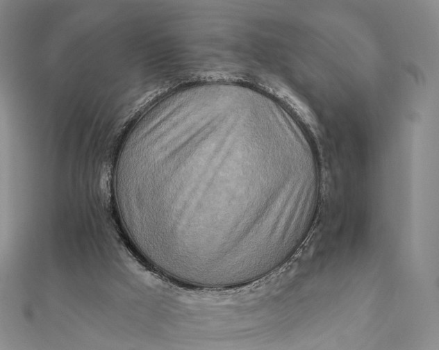 X0000112100009200908251159
