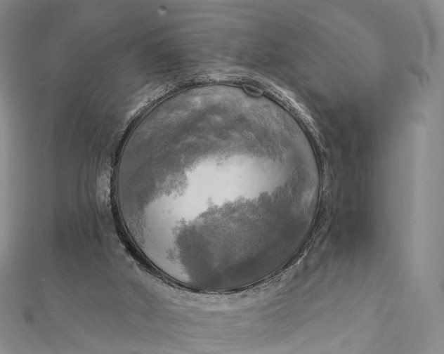 X0000112100010200908251159