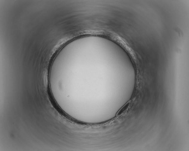 X0000112100011200908251159