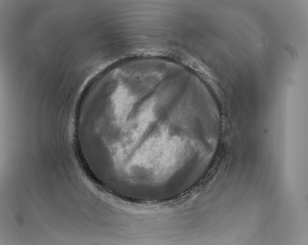 X0000112100012200908251159