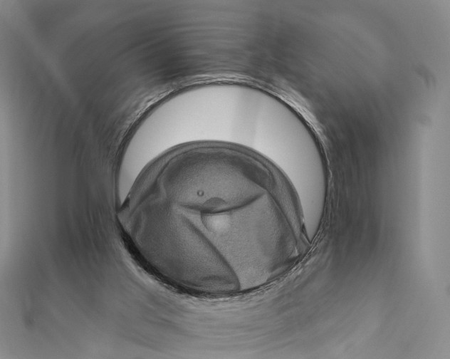 X0000112100013200908251159