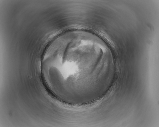 X0000112100014200908251159