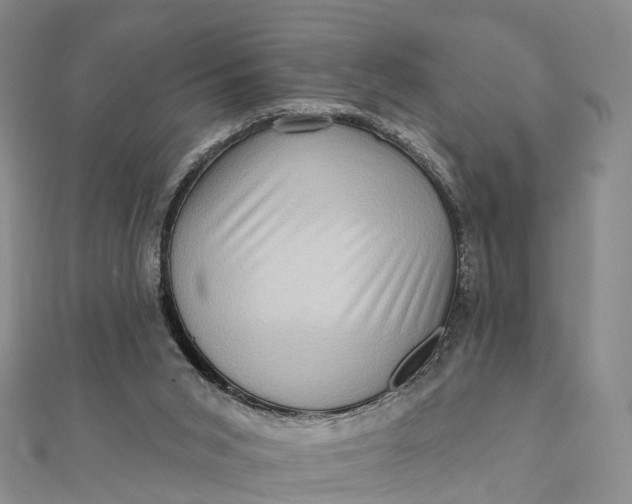 X0000112100015200908251159