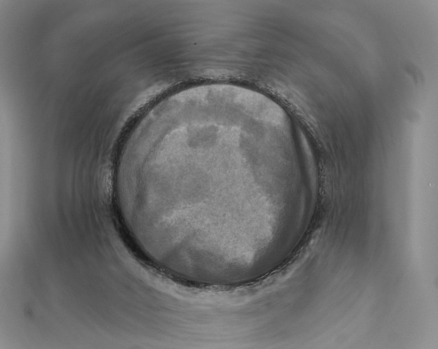 X0000112100016200908251159