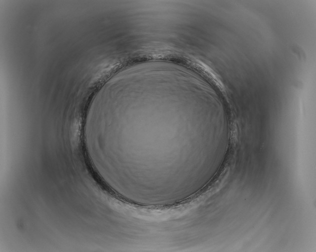 X0000112100018200908251159