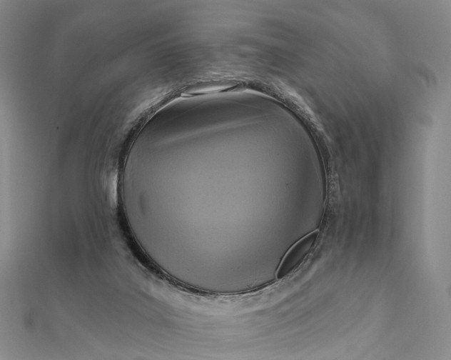 X0000112100019200908251159